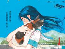 19天漫画封面